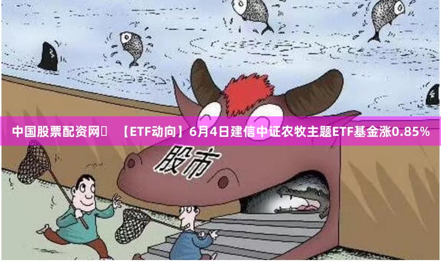 中国股票配资网	 【ETF动向】6月4日建信中证农牧主题ETF基金涨0.85%