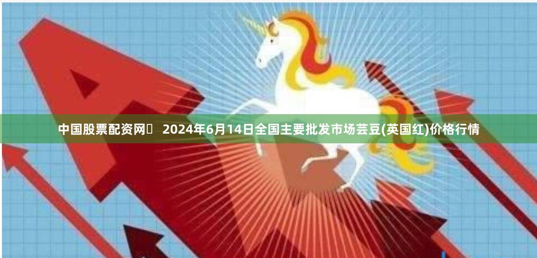 中国股票配资网	 2024年6月14日全国主要批发市场芸豆(英国红)价格行情