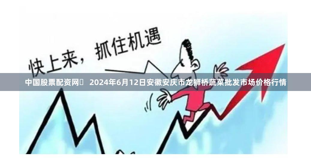 中国股票配资网 2024年6月12日安徽安庆市龙狮桥蔬菜批发市场价格行情