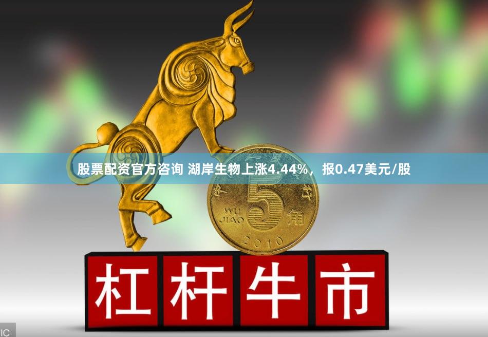股票配资官方咨询 湖岸生物上涨4.44%，报0.47美元/股