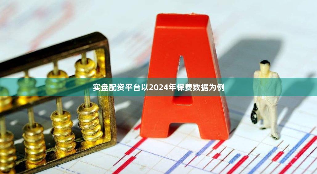 实盘配资平台以2024年保费数据为例