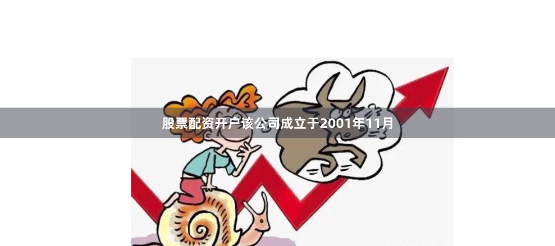 股票配资开户该公司成立于2001年11月