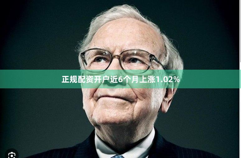 正规配资开户近6个月上涨1.02%